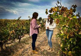 La Ruta del Vino Ribera del Duero se prepara para celebrar el mes del enoturismo.