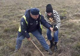 Plantación de un árbol gracias a las indicaciones de la tecnología y la información