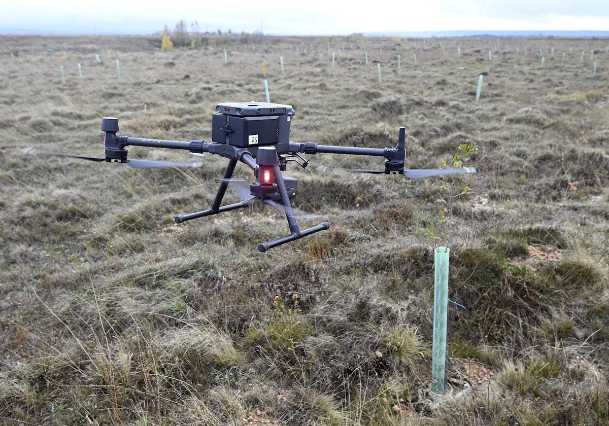 Un dron analizando el terreno para la reforestación.