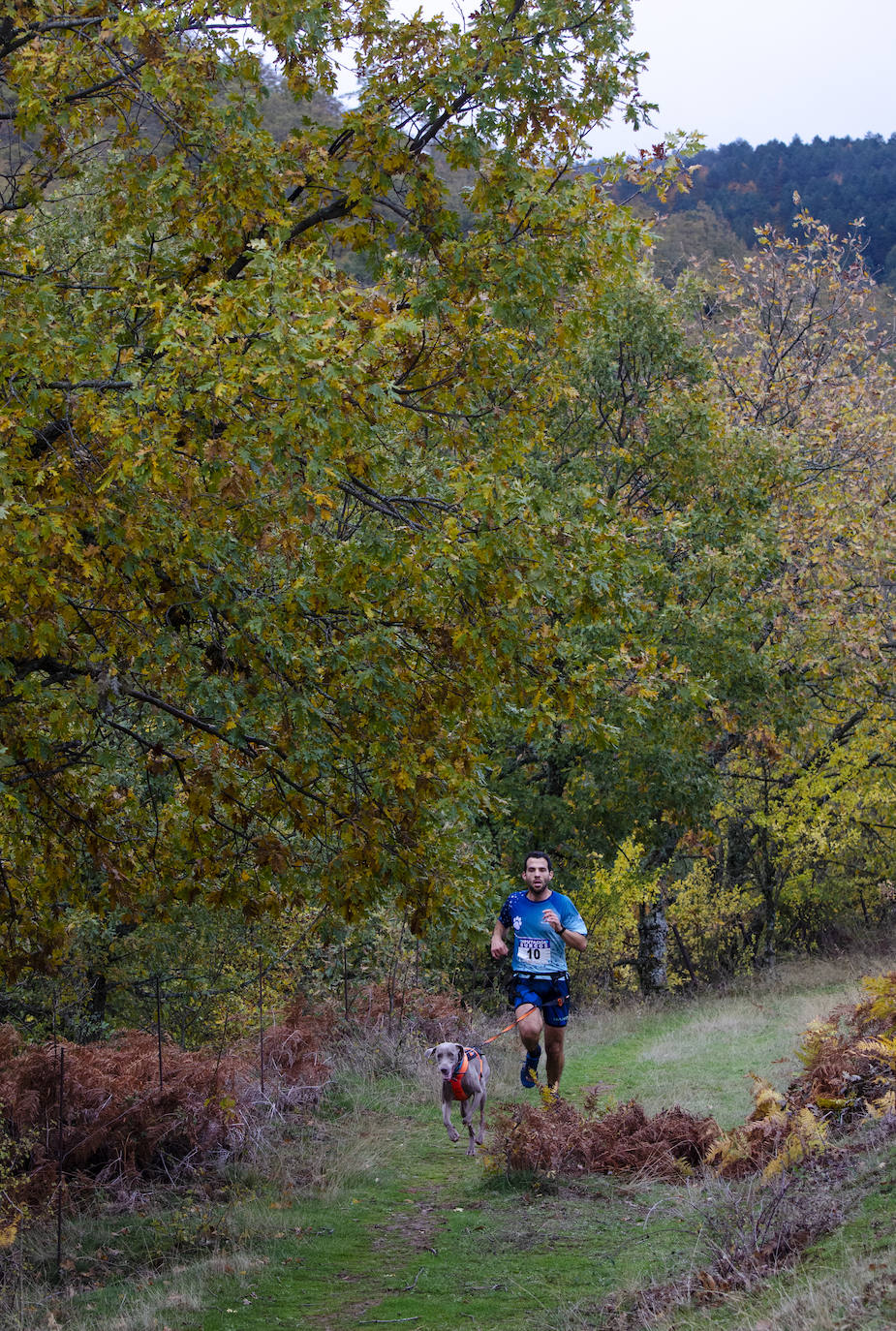 66 participantes disfrutan junto a sus perros de naturaleza y deporte en Urrez