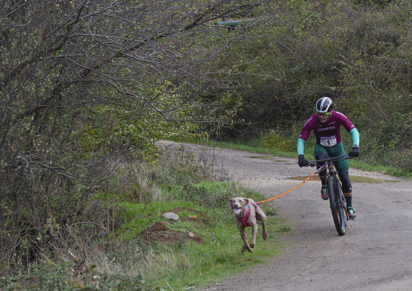 66 participantes disfrutan junto a sus perros de naturaleza y deporte en Urrez