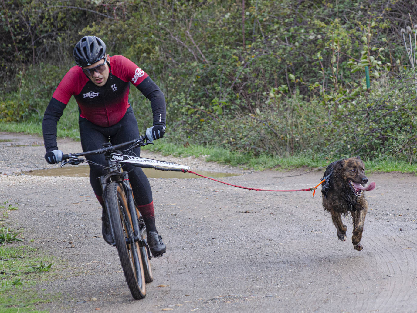 66 participantes disfrutan junto a sus perros de naturaleza y deporte en Urrez