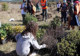 Imagen de archivo de una de las jornadas de plantación de árboles de la Fundación Kronospan.