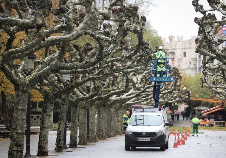 Las luces de los plataneros volverán a iluminar el paseo del Espolón.