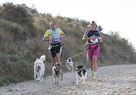 Imágenes de las distitnas carreras y entrenamientos organizados por Perrunners Burgos en la provincia y en los que han participado a nivel internacional