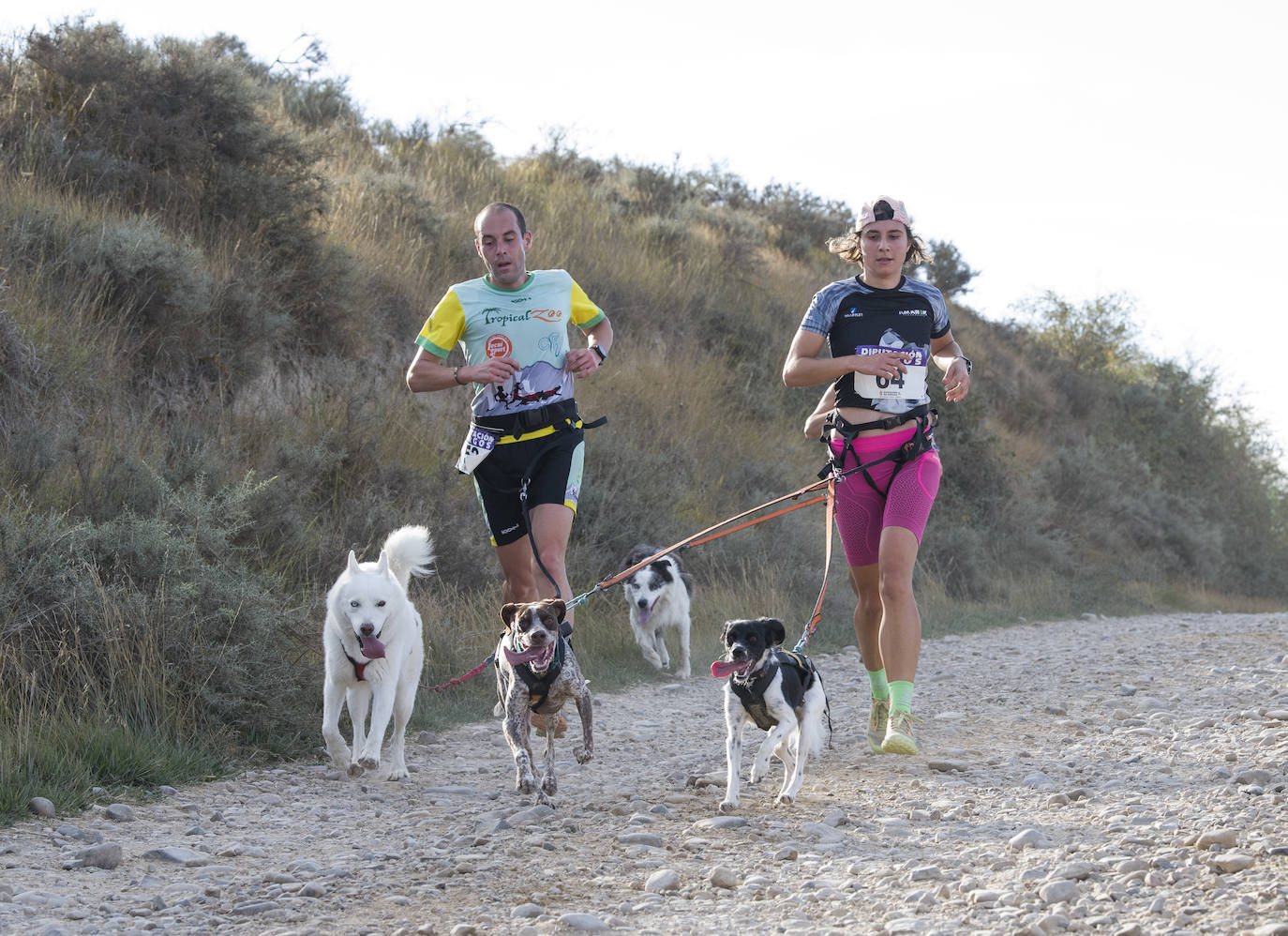 Deporte, naturaleza y mascotas para todos en Burgos