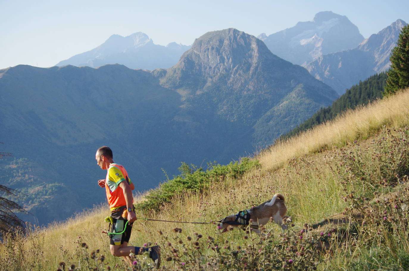 Deporte, naturaleza y mascotas para todos en Burgos