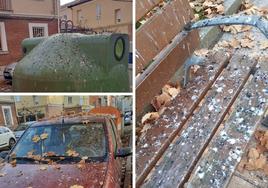 Fotos de los excrementos de los vecinos en el barrio de Santa Catalina.