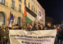 La manifestación del 25-N en Burgos, en imágenes