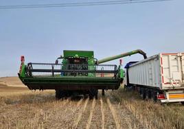 La tierra de labranza se encarece un 3,8% en Castilla y León en 2022