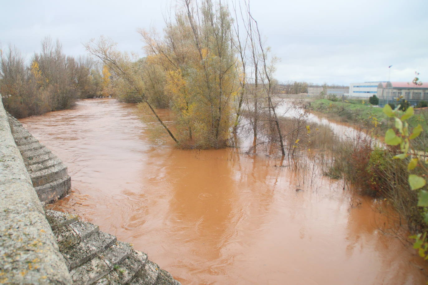 Las lluvias provocan desbordes del Arlanza en Lerma