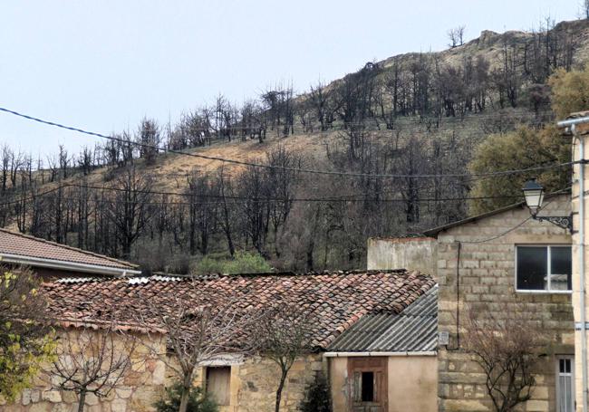 Los árboles calcinados están cerca de las casas del pueblo. El fuego estuvo muy próximo.