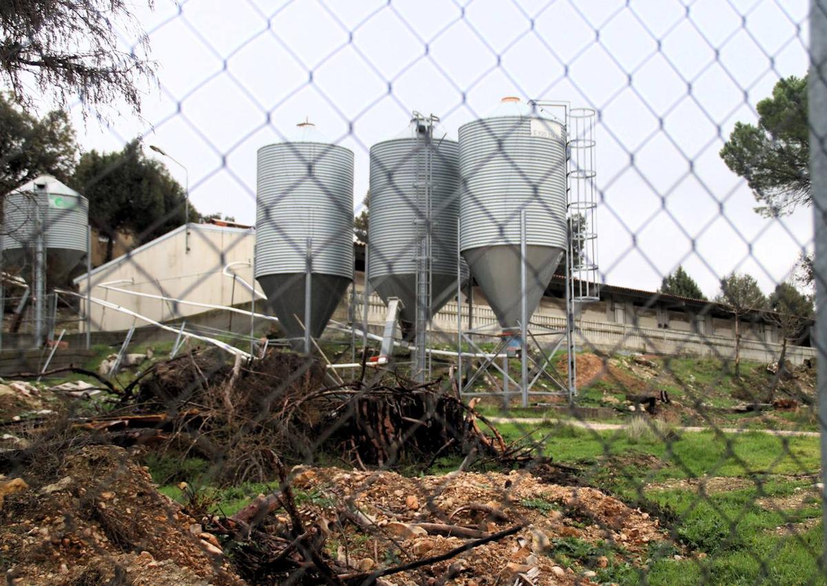 Imagen secundaria 1 - Exteriores de la granja de cerdos y un cráneo que se encontraba en el interior del vallado. 