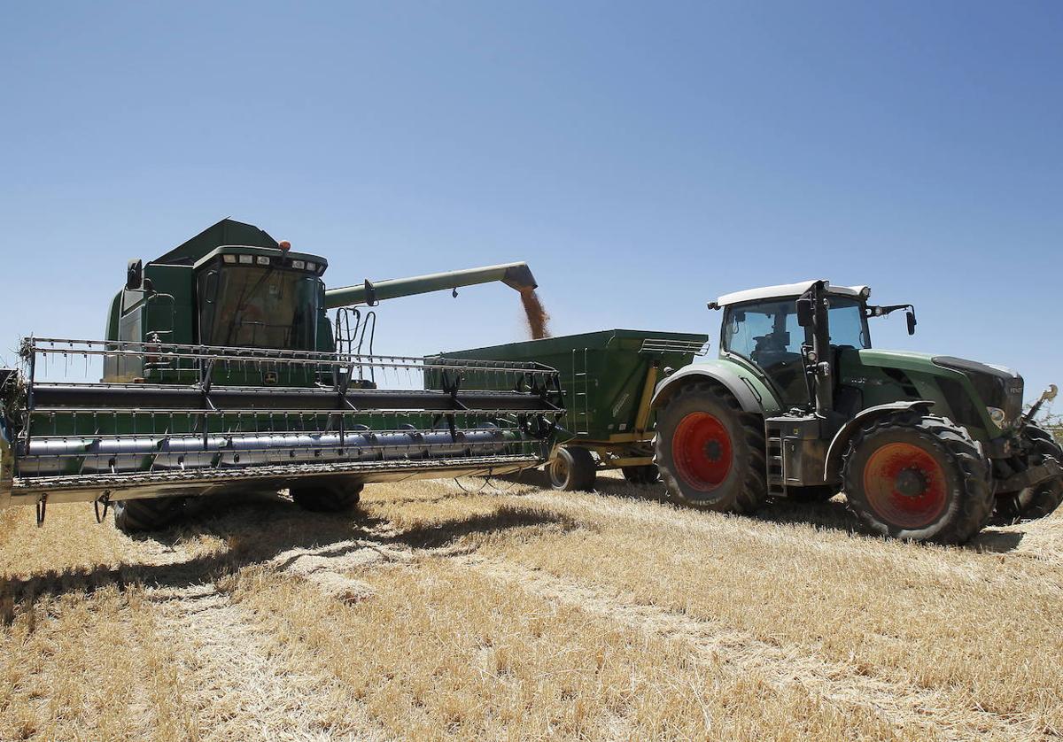 La tierra de cultivo se encarece un 6,6% en Burgos.