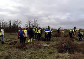 Voluntarios durante la plantación de árboles.
