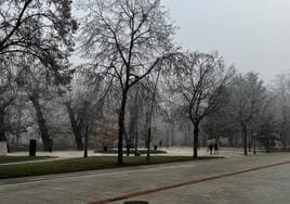 La niebla y la cencellada han cubierto Burgos este martes