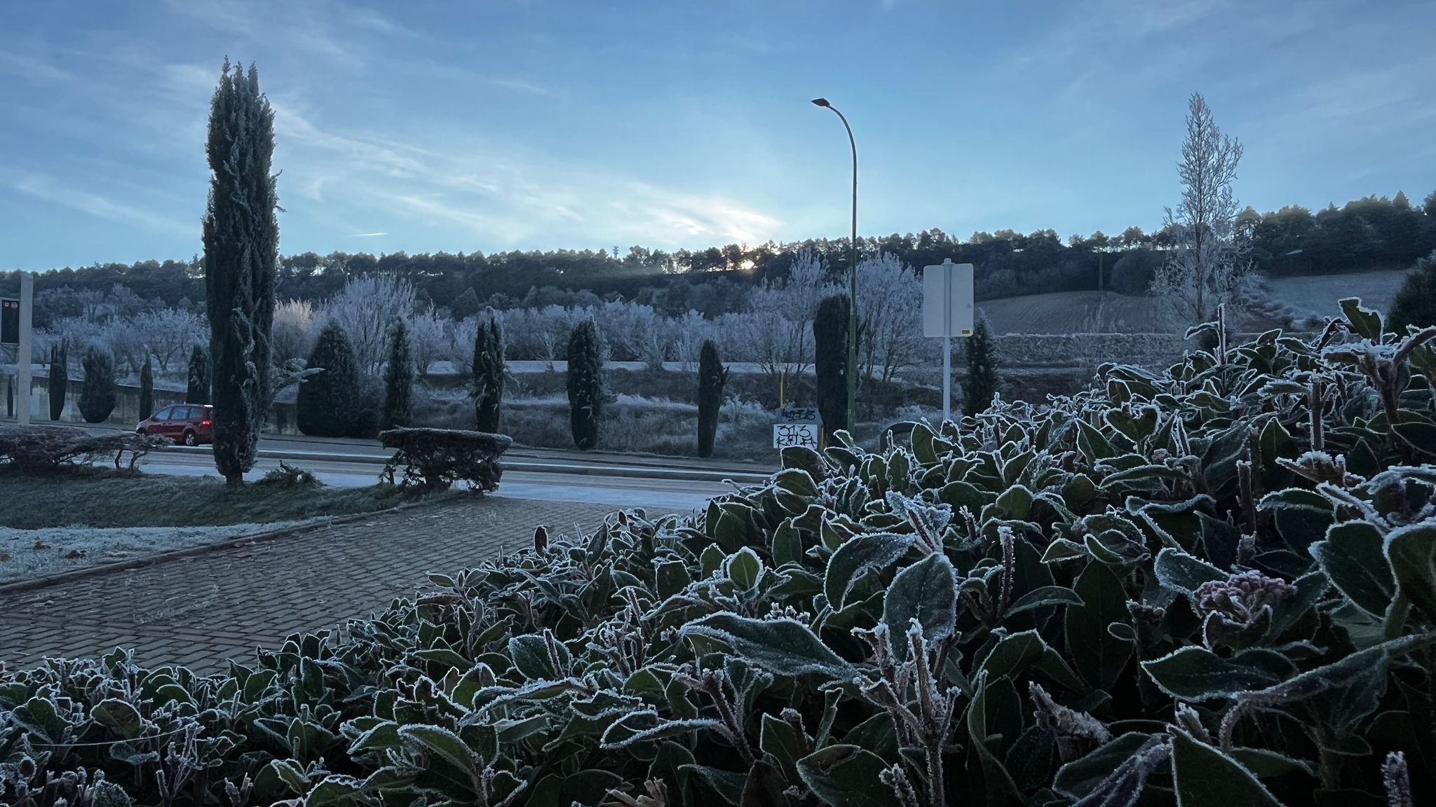 Burgos despierta blanca con una nueva cencellada