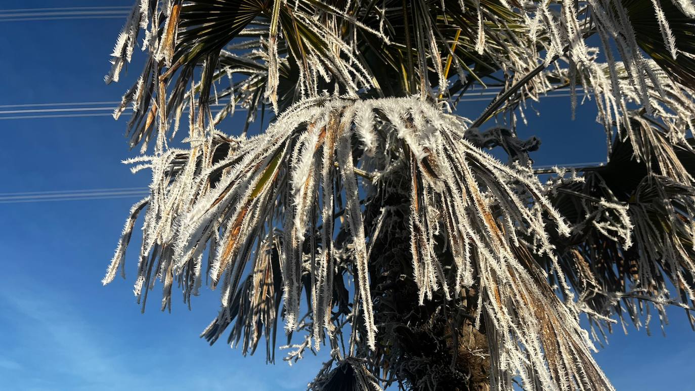 Burgos despierta blanca con una nueva cencellada