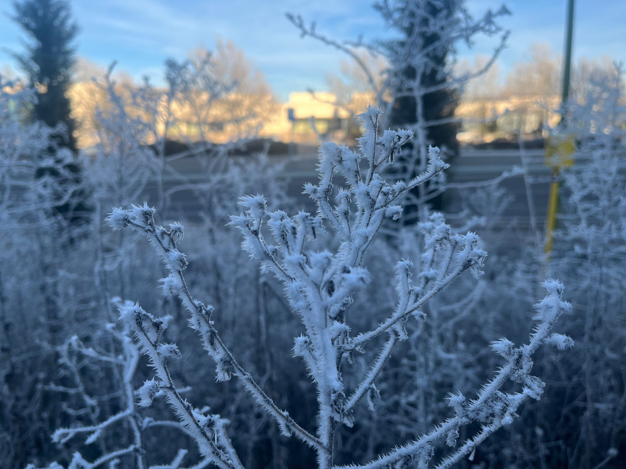 Burgos despierta blanca con una nueva cencellada