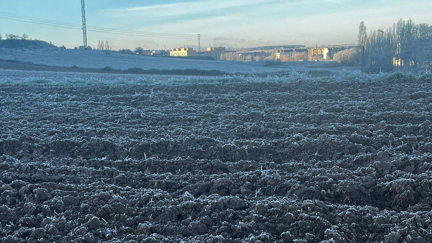 Burgos despierta blanca con una nueva cencellada