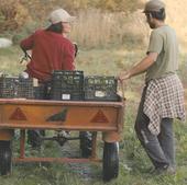 Los trámites y los altos costes, trabas para los emprendedores rurales de Burgos