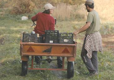 Los trámites y los altos costes, trabas para los emprendedores rurales de Burgos
