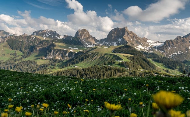 La naturaleza huele ahora diferente y la causa es el cambio climático