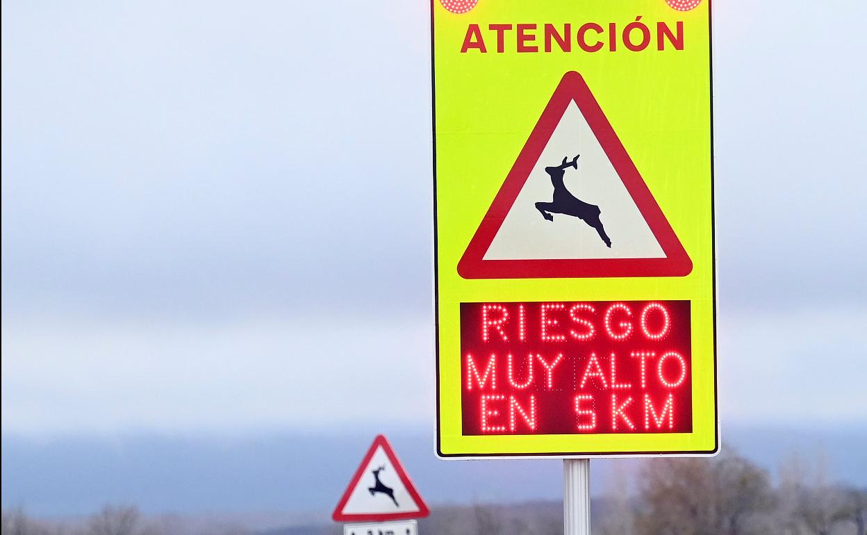 Nueva señalización en tramos de alta concentración de accidentes con animales.