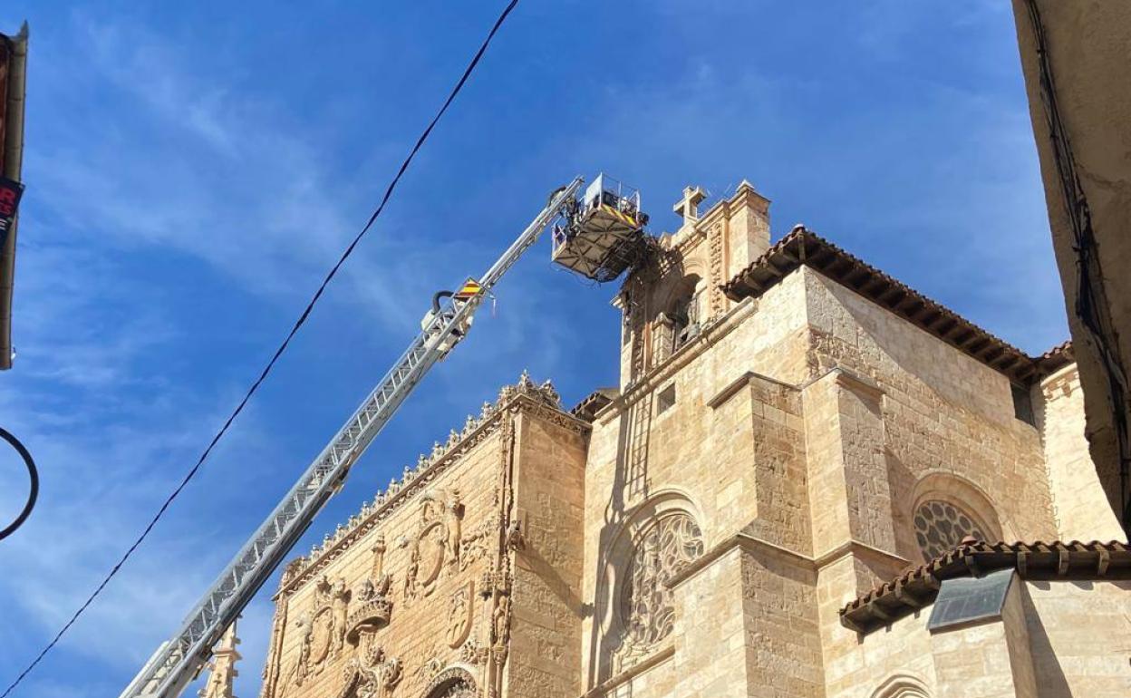 Los Bomberos de Aranda retiran los nidos de cigüeña del campanario de Santa María.