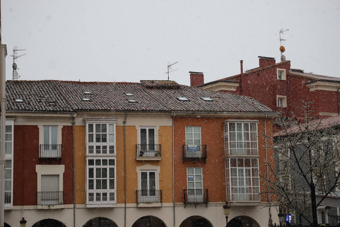 Fotos: Llega la nieve a Burgos capital