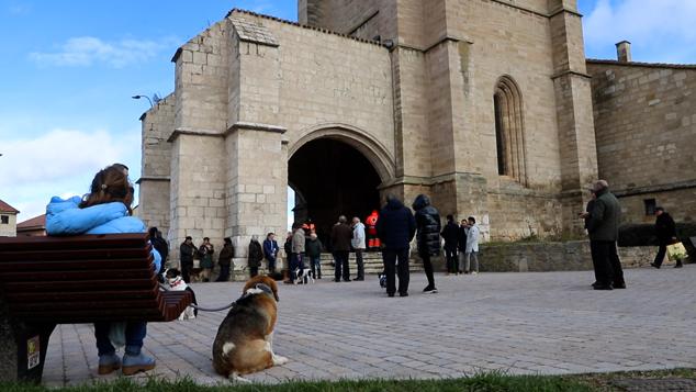 Fotos: Los burgaleses abrigan a sus mascotas para bendecirlas en San Antón