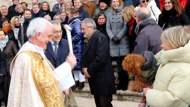 Fotos: Los burgaleses abrigan a sus mascotas para bendecirlas en San Antón