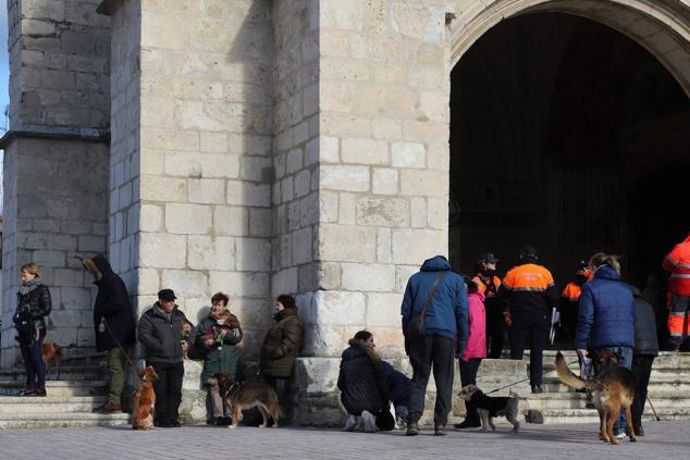 Fotos: Los burgaleses abrigan a sus mascotas para bendecirlas en San Antón