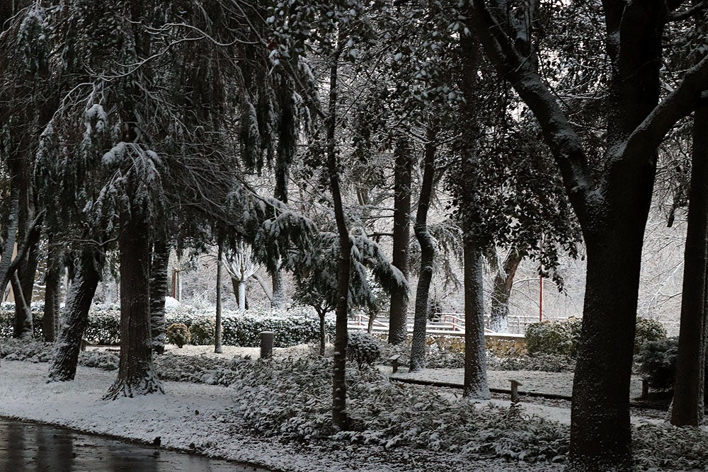 Fotos: La nieve llega a Burgos