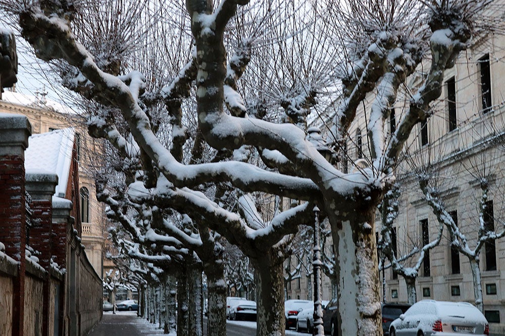 Fotos: La nieve llega a Burgos