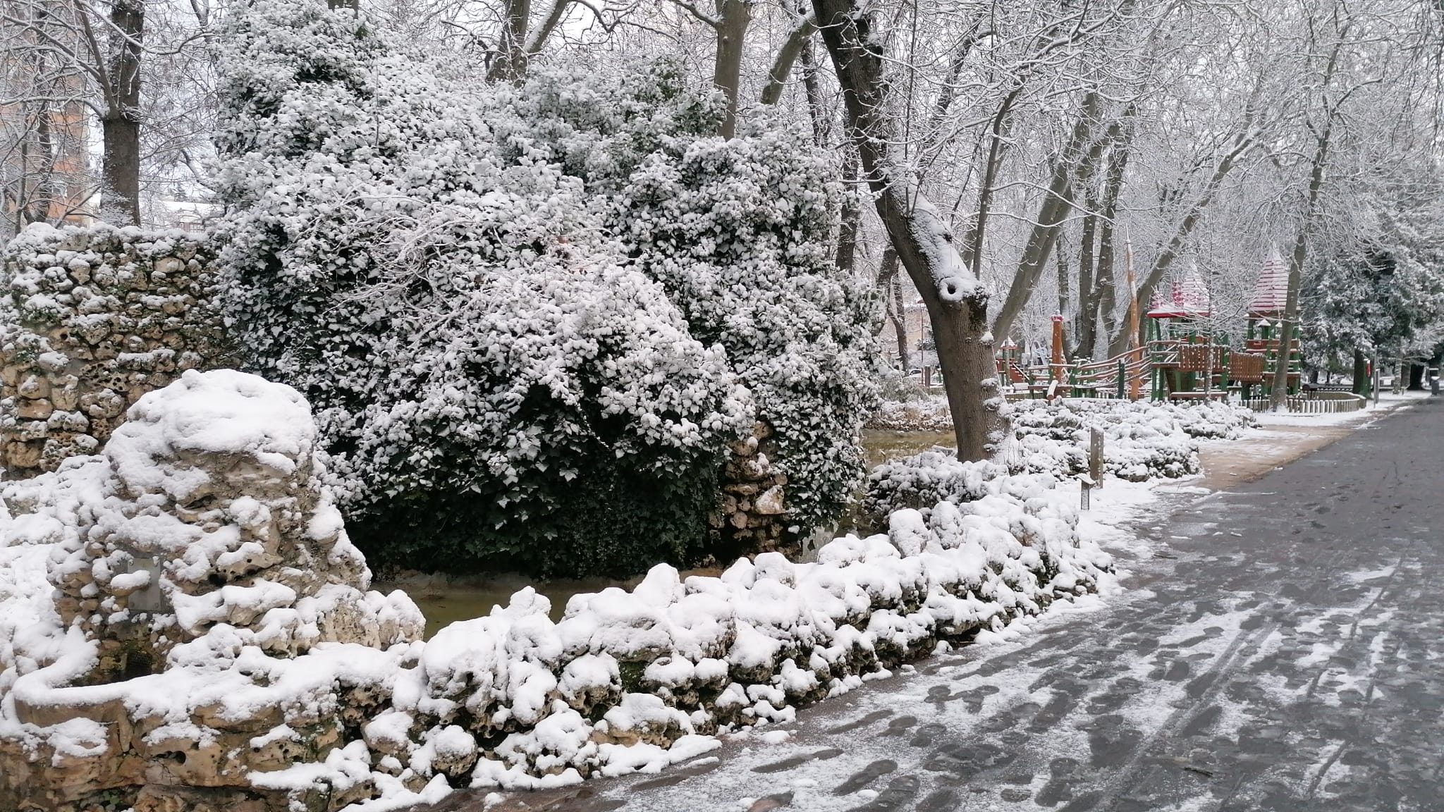 Fotos: La nieve llega a Burgos