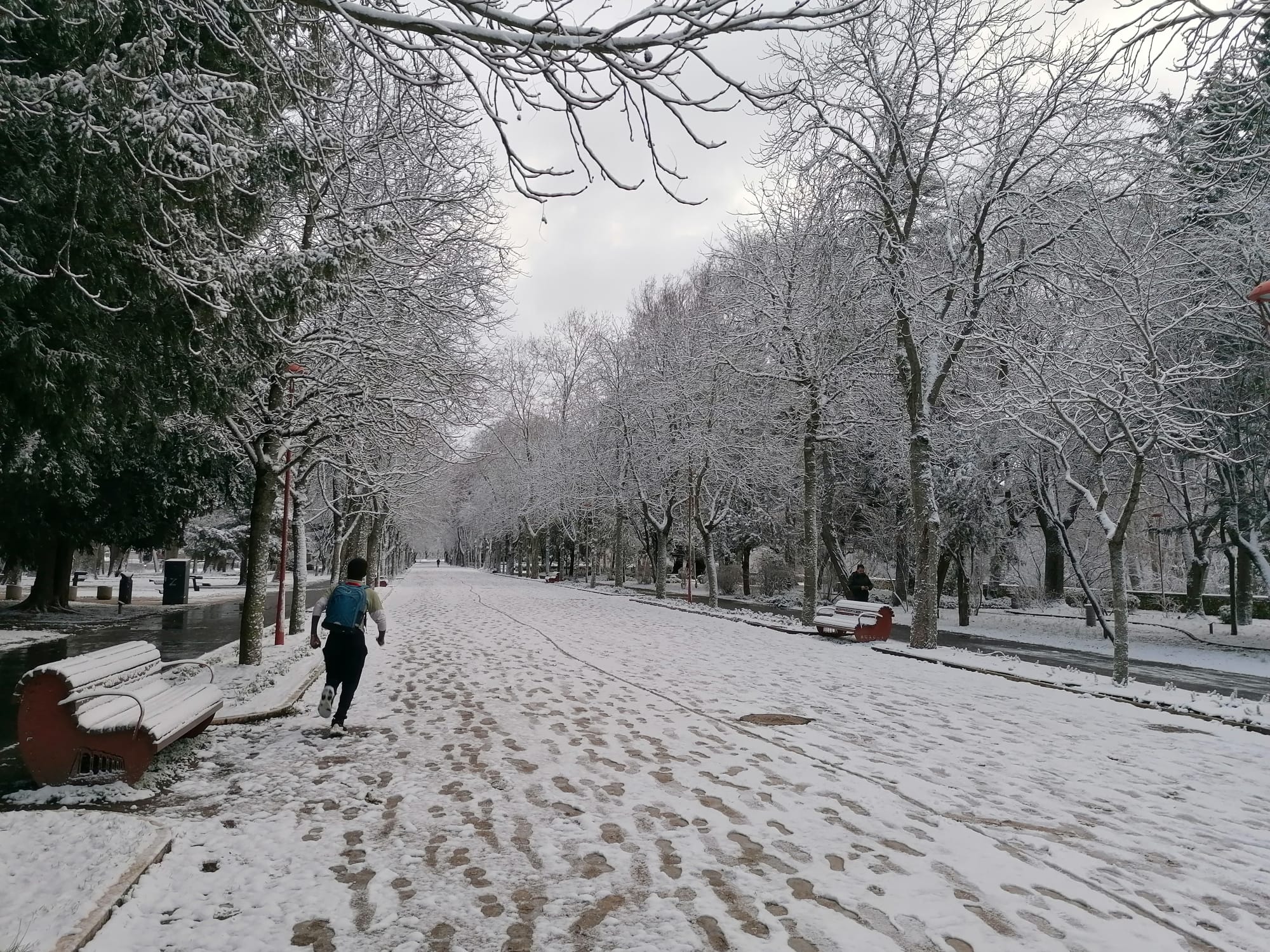 Fotos: La nieve llega a Burgos