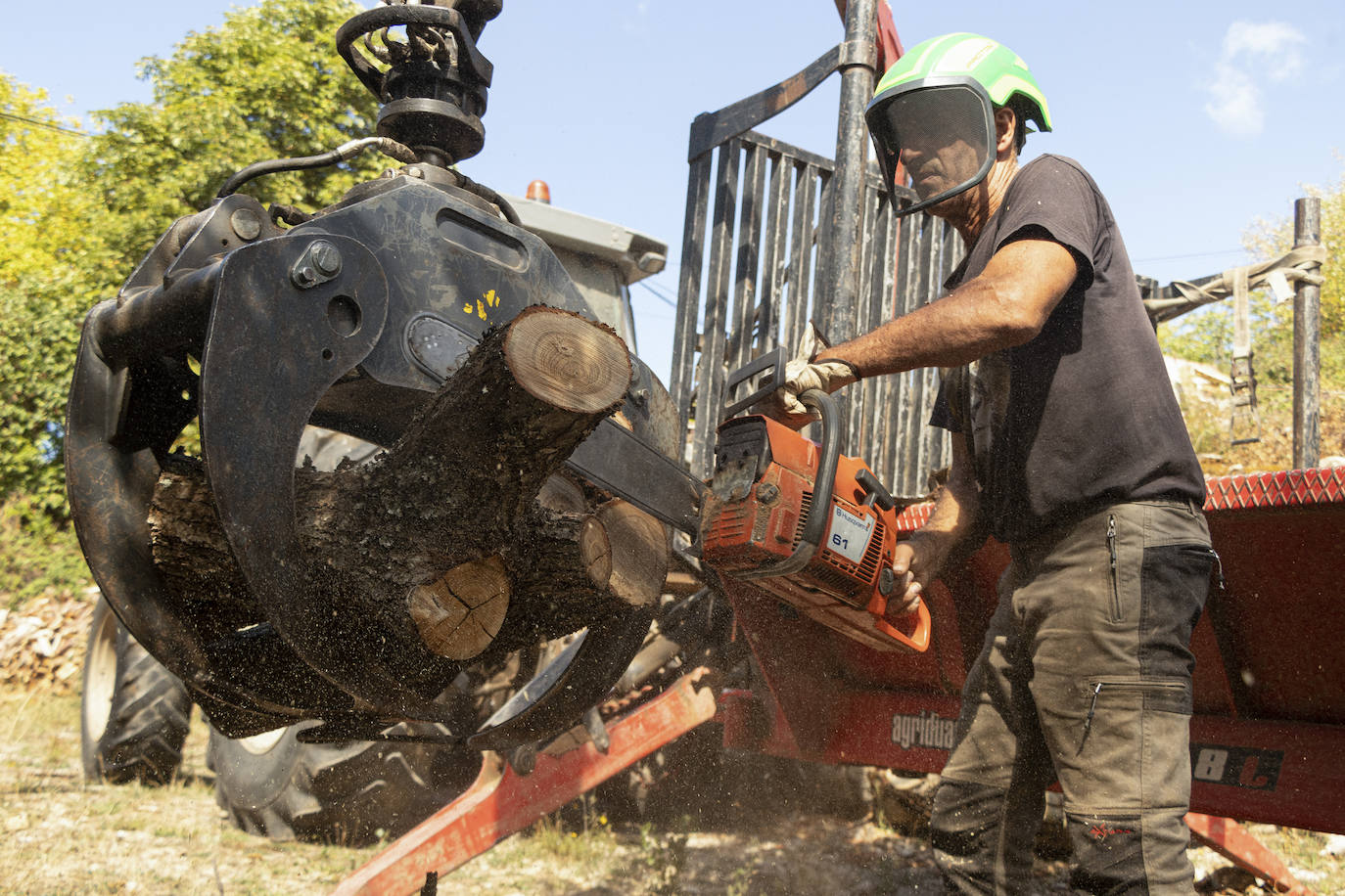 Uno de los problemas del sector es la falta de mano de obra especializada en el medio rural. 