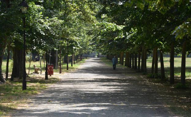 Burgos aspira a ser referente internacional en materia medioambiental