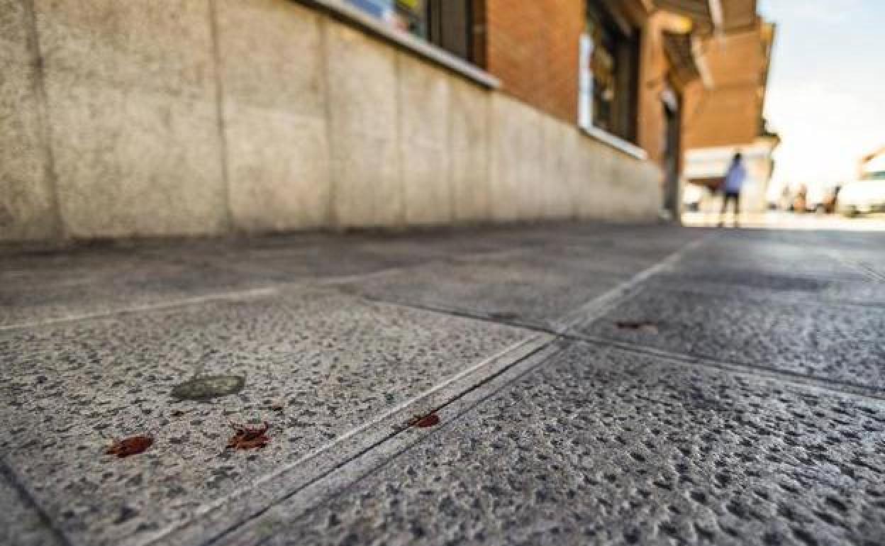 Vista del lugar donde el sábado un hombre de 31 años murió por heridas de arma blanca en Toledo.