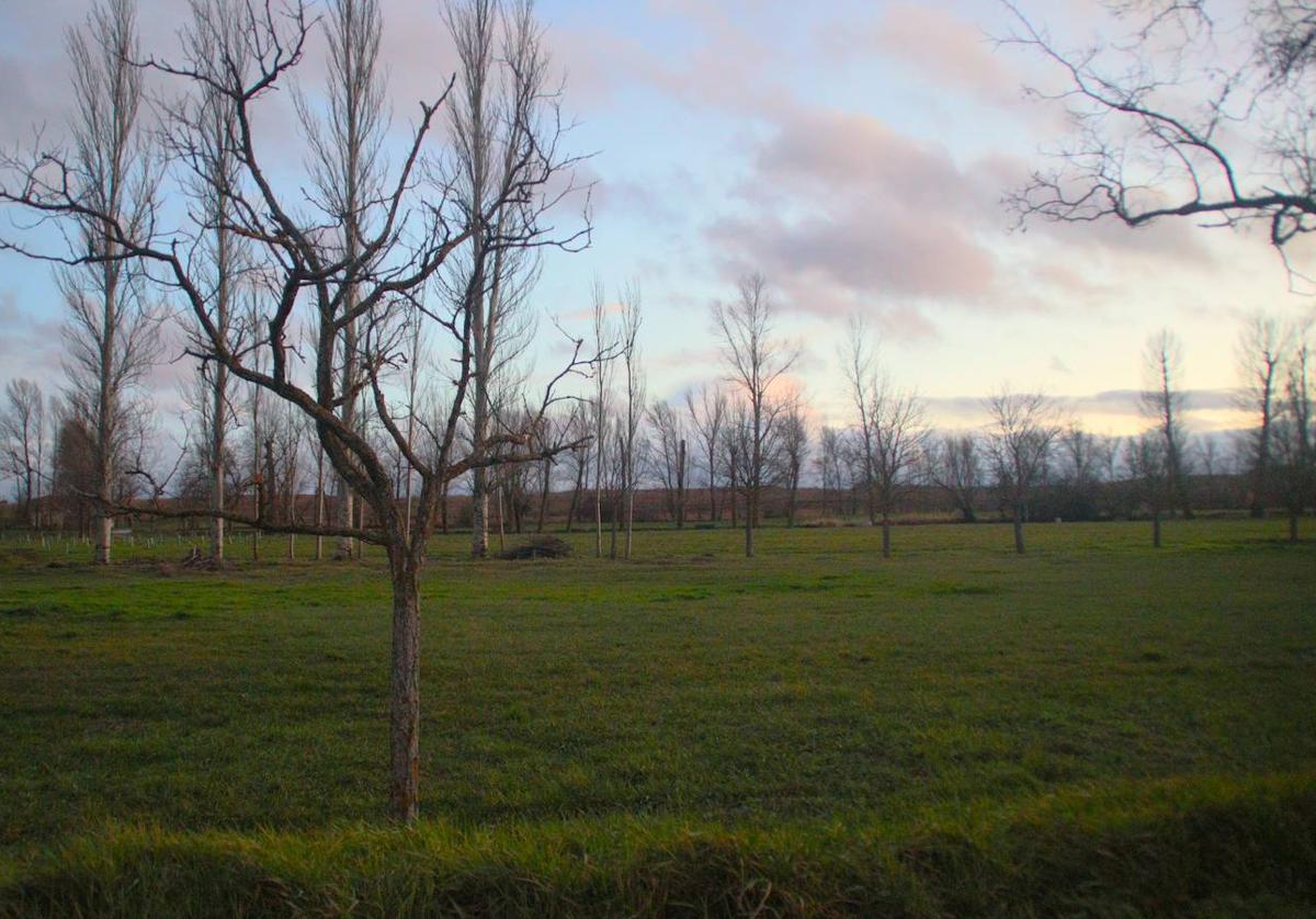 Zona verde al lado del río donde se ubicará el área de autocaravanas de Villangómez.