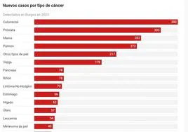 Gráfico sobre los tipos de cáncer más comunes en Burgos.