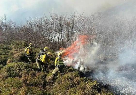 Cuadrilla terrestre de extinción de incendios.