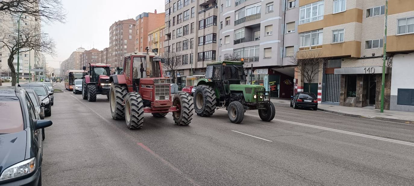 La tractorada en Burgos capital, en imágenes