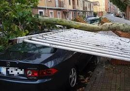 Un árbol caído sobre una valla y un coche en una imagen de archivo