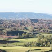 Ofertan un coto de caza entre dos pueblos de Burgos