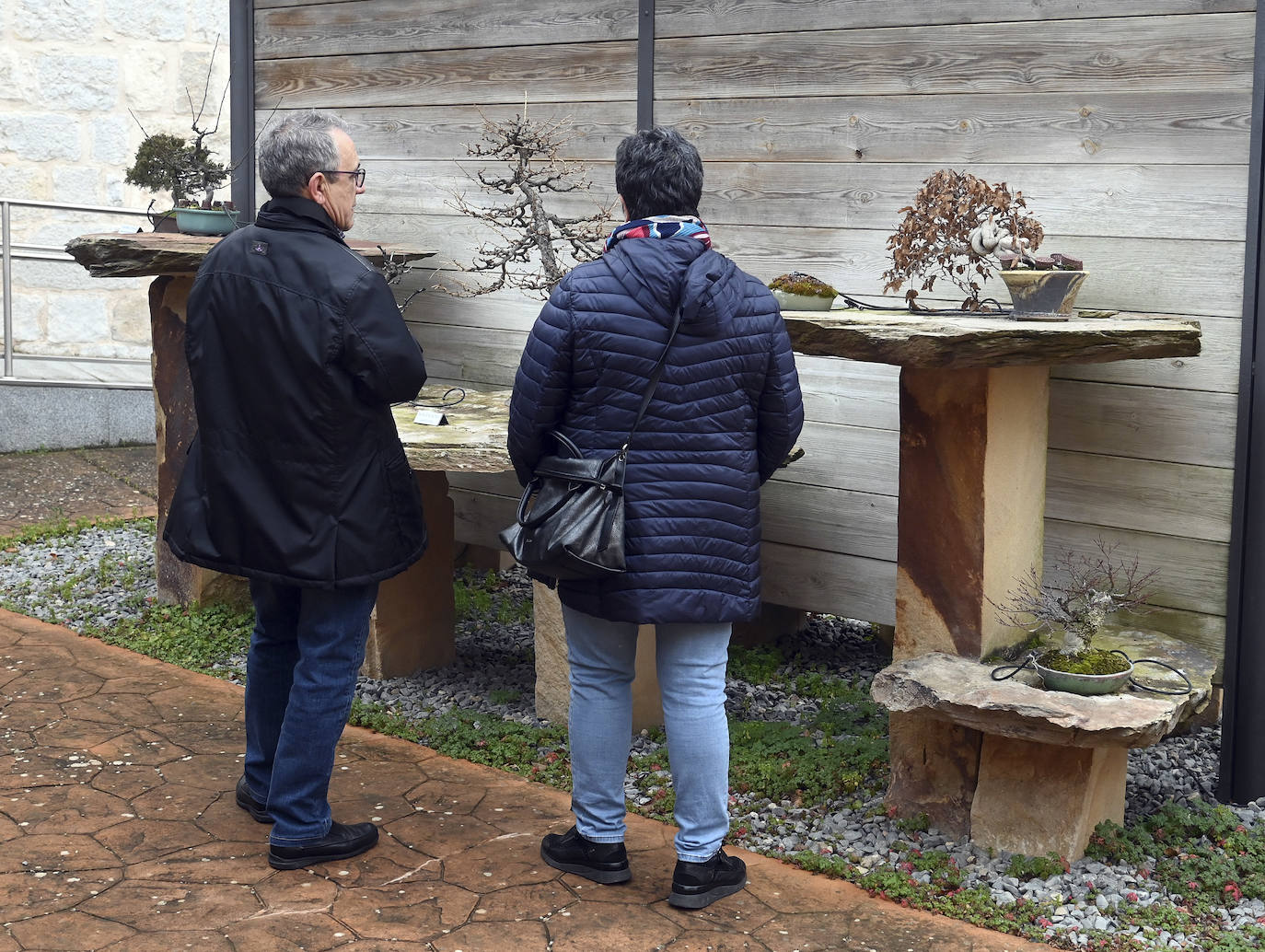 Museo del Bonsai de Villagonzalo Pedernales