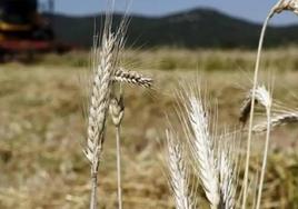 Arrancan las charlas de la PAC de Aula Agraria en Burgos