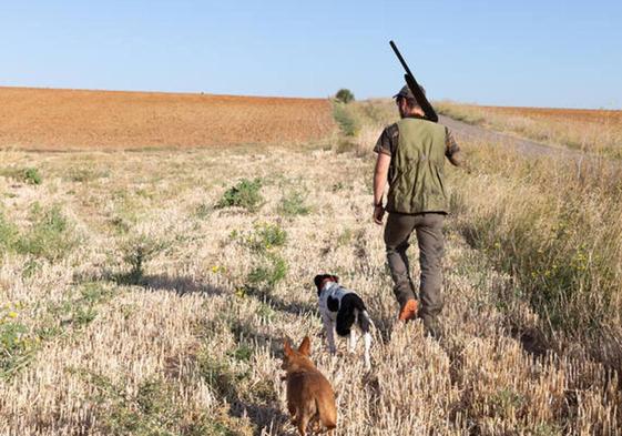 Cazador con dos perros.