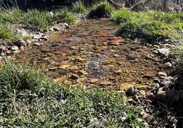 Aguas reparará una fuga en el Castillo de Burgos que lleva un año manando